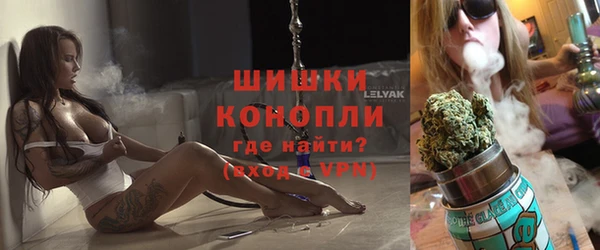 прущие грибы Алзамай