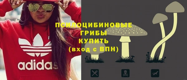 ГАЛЛЮЦИНОГЕННЫЕ ГРИБЫ Алексин