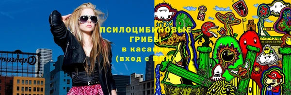 прущие грибы Алзамай