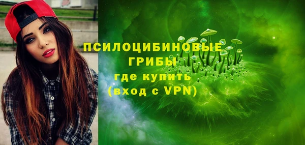 прущие грибы Алзамай
