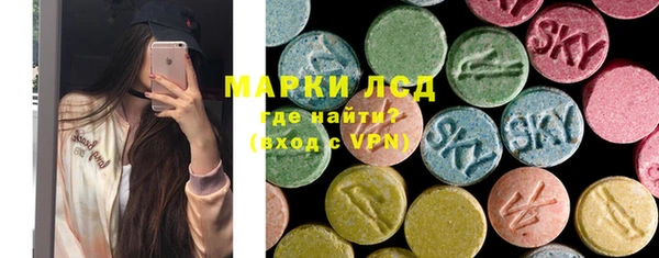 прущие грибы Алзамай