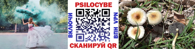Галлюциногенные грибы Cubensis купить наркотик Куровское